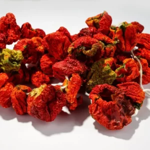 ANTEP BİBER KURUSU (BAĞ)